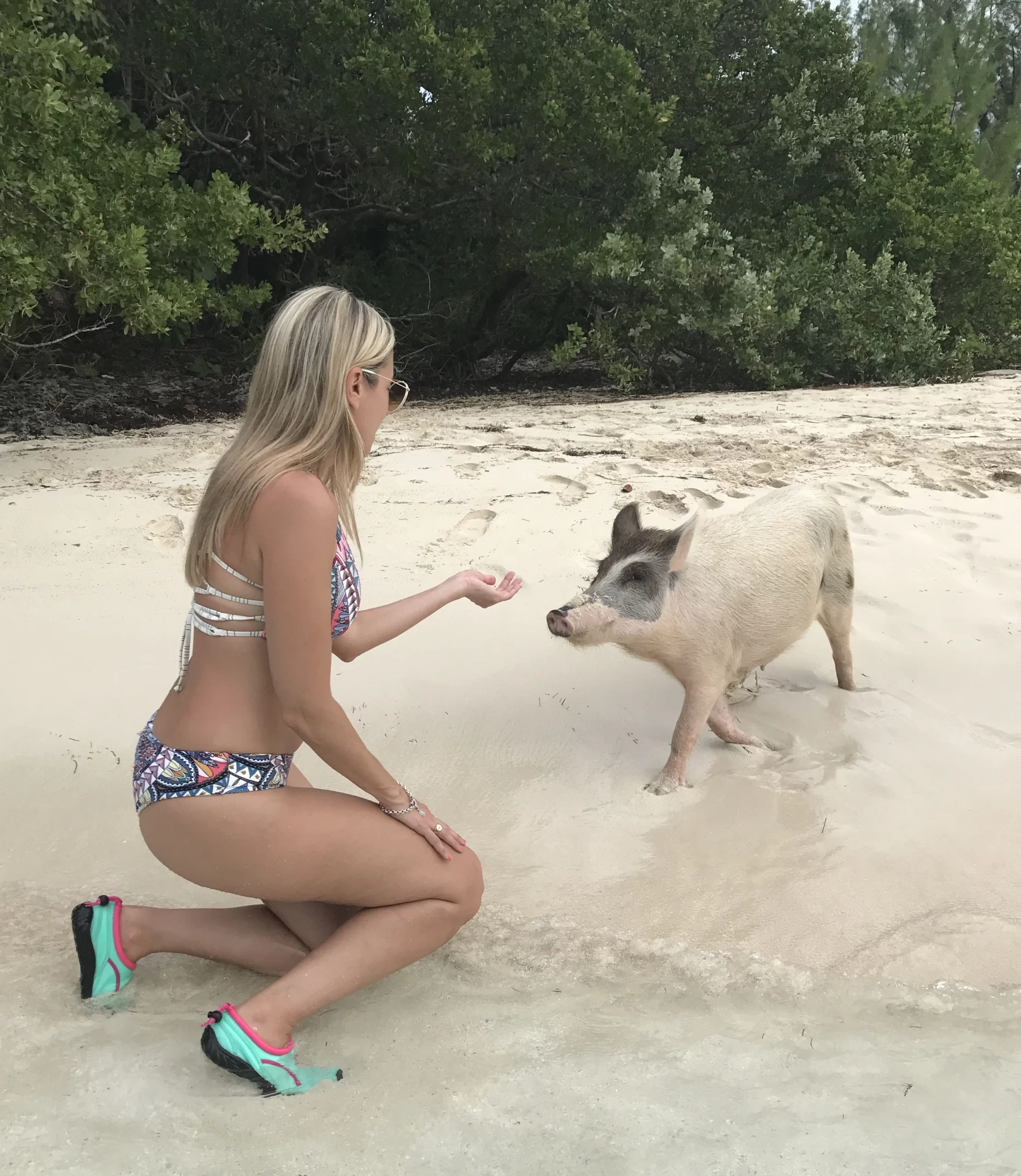 Seychelles 6