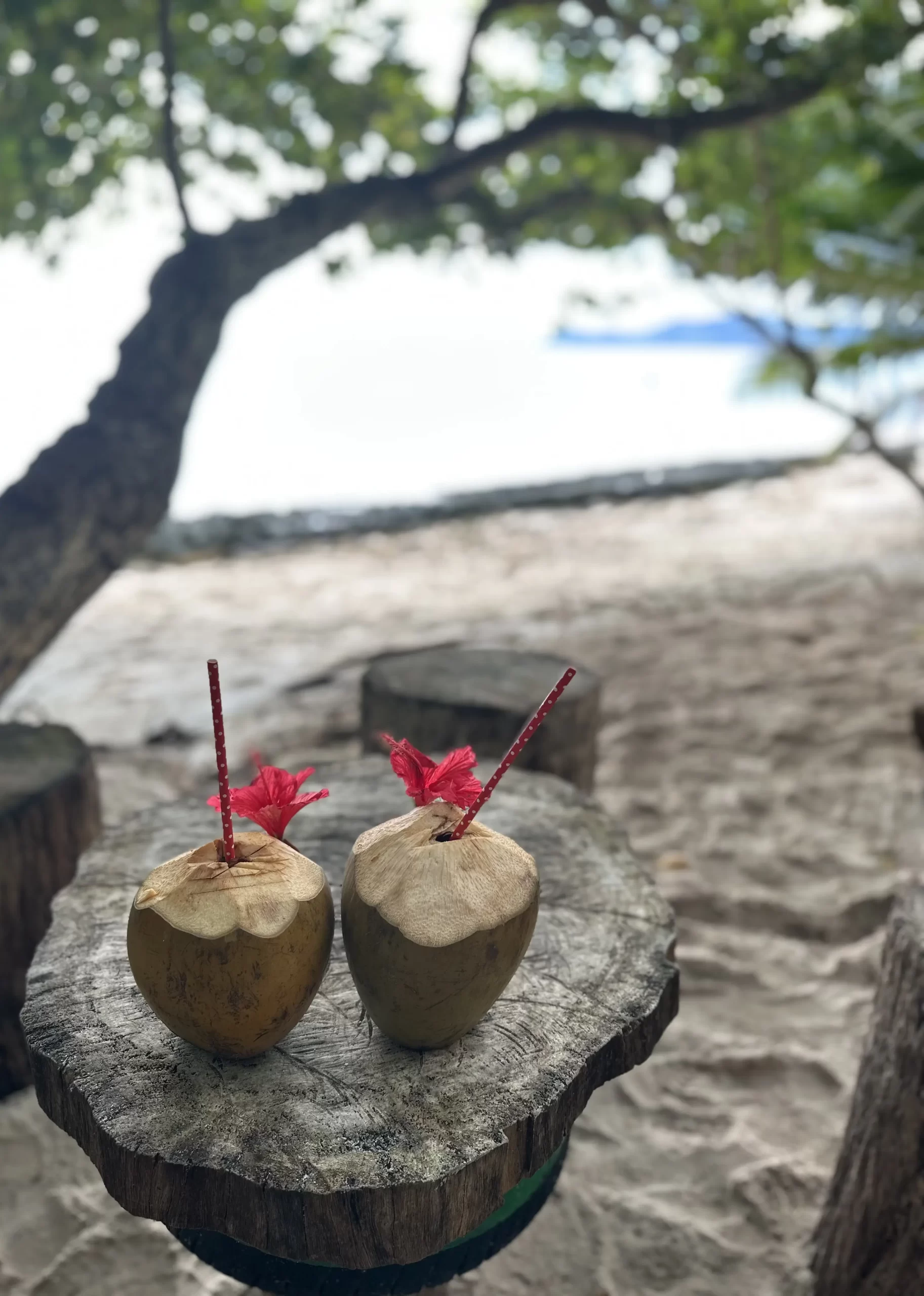Seychelles 10